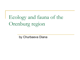 Экология и животный мир Оренбургской области