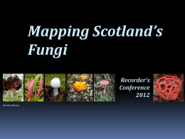 Mapping Scotlands Fu.. - The Wildlife Information Centre