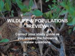 wildlife review