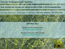 Sav workplan - Chesapeake Bay Program