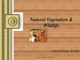 Natural Vegetation & Wildlife - Wikispaces