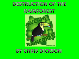 ranforest presentation