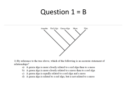Question 1 time left 30