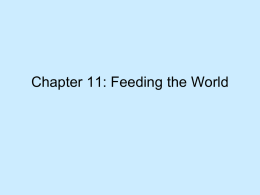 Chapter 11 PowerPoint