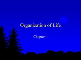 Organization of Life