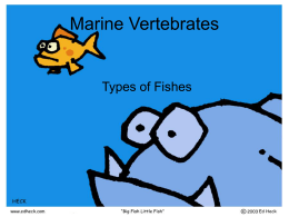 Types_Fishes