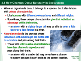 Natural Changes in Ecosystems / Ecological Succession