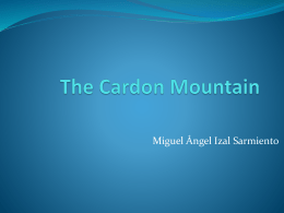 Mountain Cardon