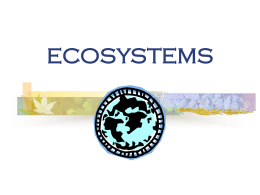 ecosystems & ecology