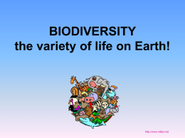 Biodiversity Review 2
