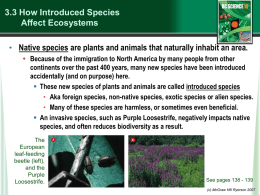 How Species Influence Ecosystems