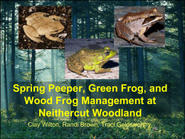 Spring Peeper, Green Frog, and Wood Frog Management at