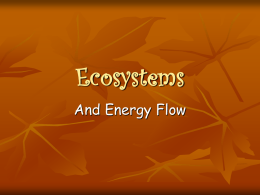 Ecosystems - AaronFreeman