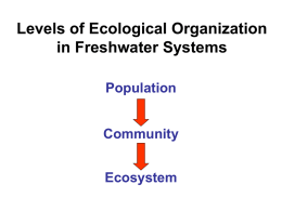 Levels of Ecological Organization in Freshwater Systems Population