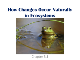 How Changes Occur Naturally in Ecosystems