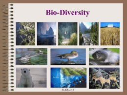 Bio-diversity Issues..