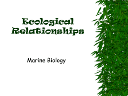 6.1-MB-EE-relationships.review.extraeco