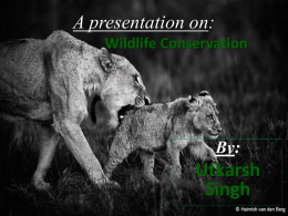 Wildlife Conservations
