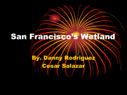 San Francisco`s Wetland