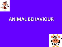 PowerPoint Presentation - ANIMAL BEHAVIOR