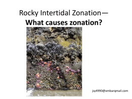 Rocky Intertidal Zonation