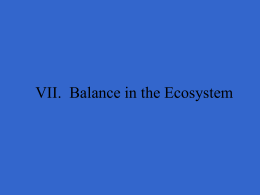VII. Balance in the Ecosystem