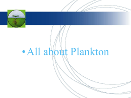 Plankton PPT