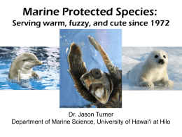 Protected Species Talk - for Dr. Jason P. Turner