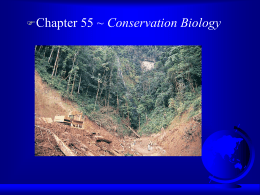 Ch 55 Conservation Biology