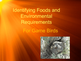 Identifying Foods and Environmental Requirments