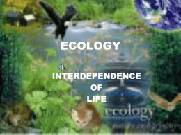 September 2012 Ecology PowerPoint