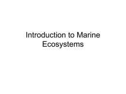 Introduction to Marine Life