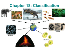 Chapter 18 Classification & Kingdoms