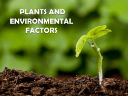 03. plants and environment factors