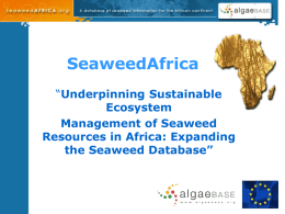 Africa Seaweed Database Introduction