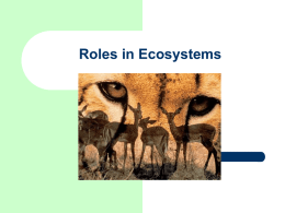 Roles_in_Ecosystems