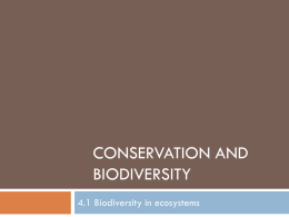 Topic 4.1 Biodiversity in ecosystems
