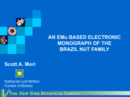 An EMu based electronic monograph of the Brazil nut