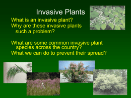 12 - Bailey - Invasive Plants