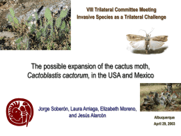 Opuntia - Trilateral Committee for Wildlife and Ecosystem