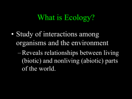 Ecology Organization and Symbiosis
