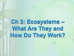 Ch 3: Ecosystems – What Are They and How Do They Work?