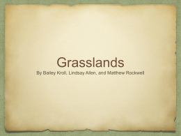 Biomes - Grasslands