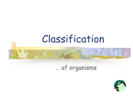 La Classification