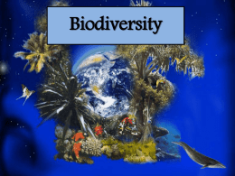 Biodiversity - St Peter`s Epping Sustainability Blog