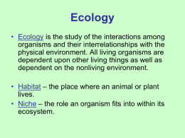 Ecology - Toolbox Pro