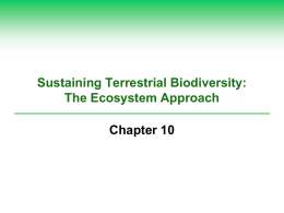 Sustaining Terrestrial Biodiversity: The