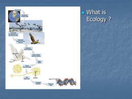 Ecology & Biomes