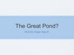 The Great Pond?