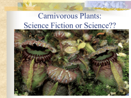 Meat-Eating Plants: Science Fiction or Science??